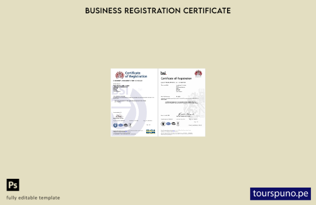 listo para imprimir Plantilla de plantilla de certificado de registro BSI del Re